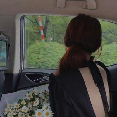 大明星丽莎